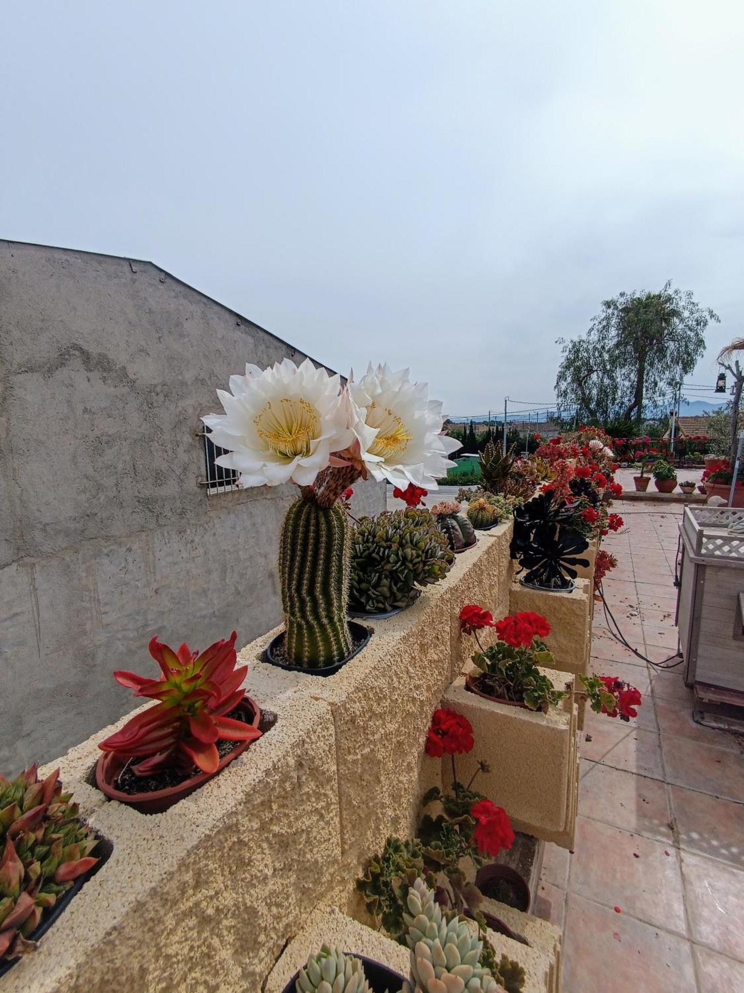 Casa Chalet Venta Ruizo Lorca  Esterno foto