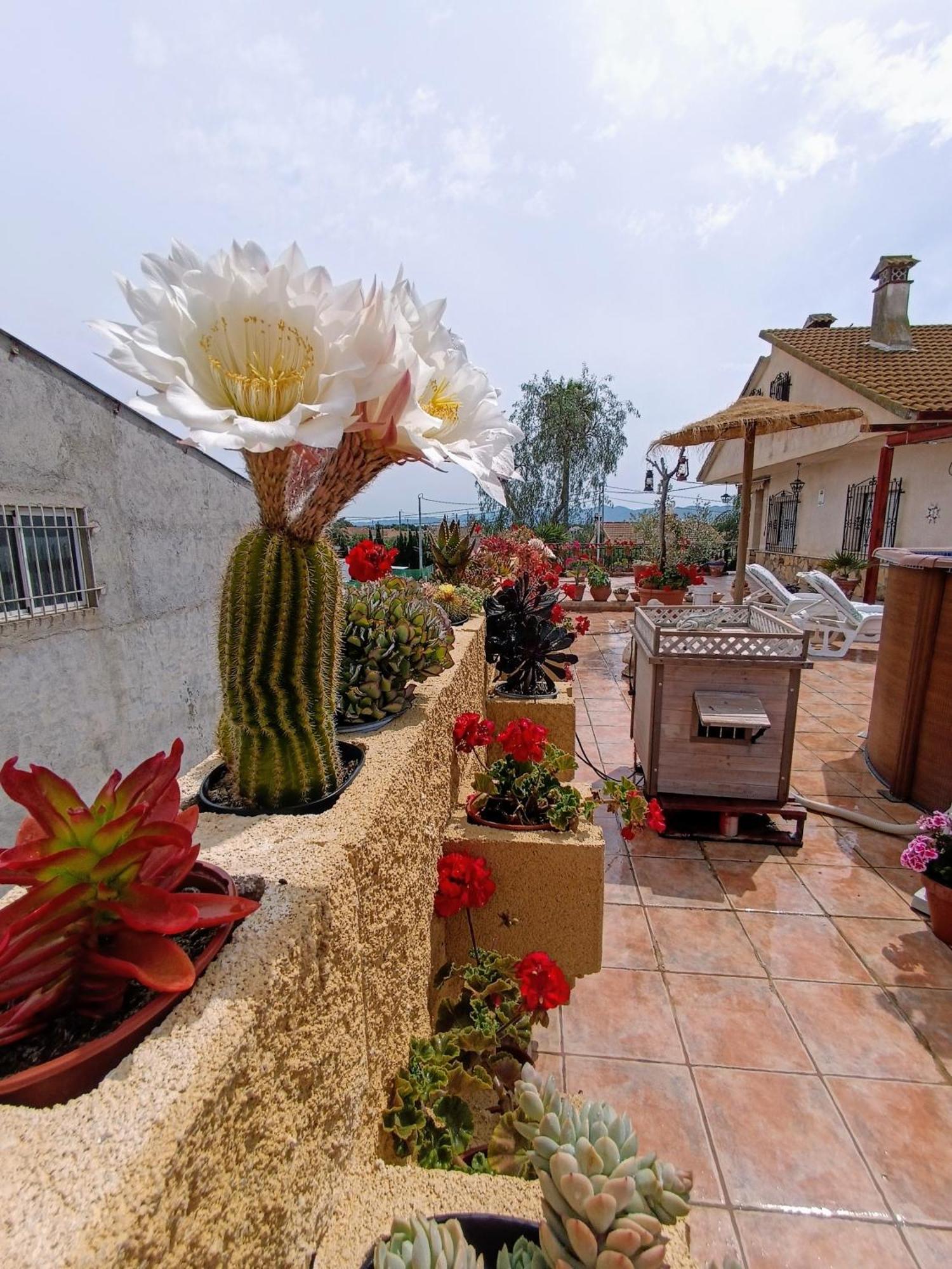 Casa Chalet Venta Ruizo Lorca  Esterno foto